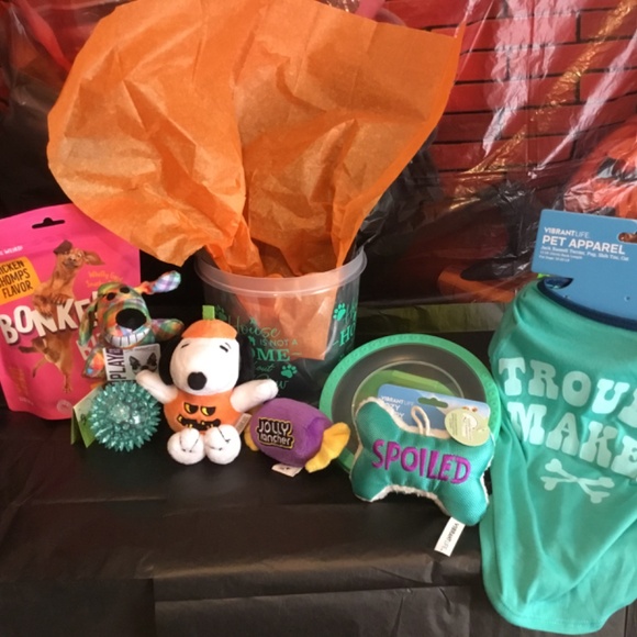 Halloween Boo Bucket for a small Dog - Picture 6 of 7